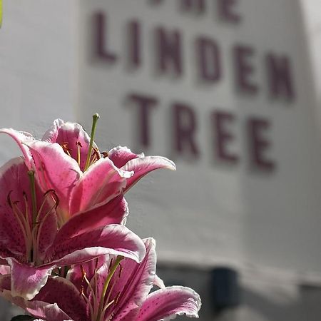 Linden Tree Bed and Breakfast Gloucester Esterno foto